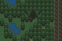 口袋妖怪究极绿宝石|||二周目图文攻略