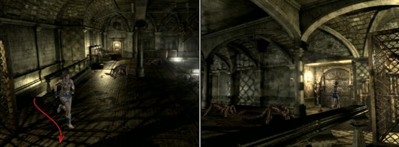 生化危机0《ResidentEvil0》水蛭猎人图文攻略