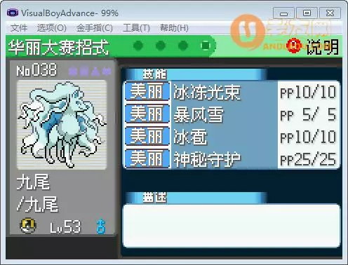 口袋妖怪究极绿宝石选美大赛(华丽大赛)配招攻略