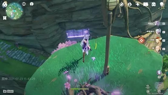 原神《Project》稻妻大世界华丽宝箱位置攻略