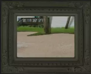 泞之翼朱雀的诅咒《Ning