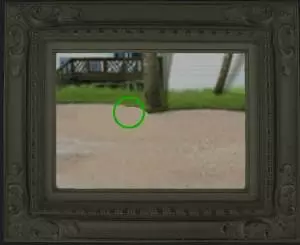 泞之翼朱雀的诅咒《Ning