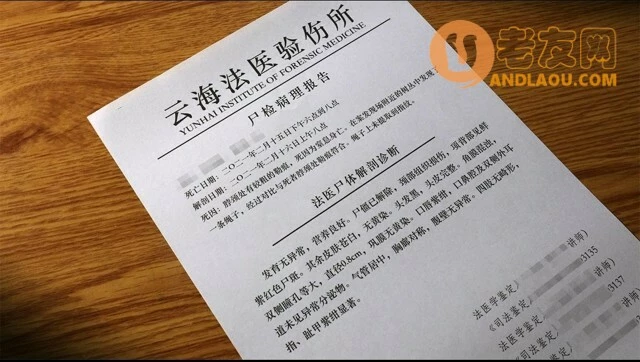 《赏金侦探》死了两次的男人攻略