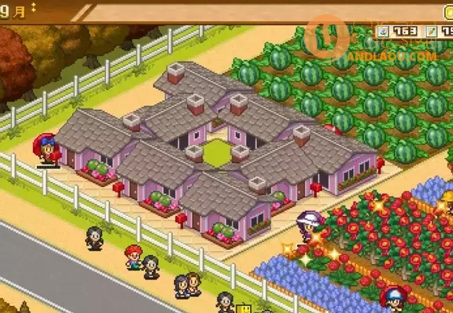 《像素牧场物语》竞赛选择布局攻略