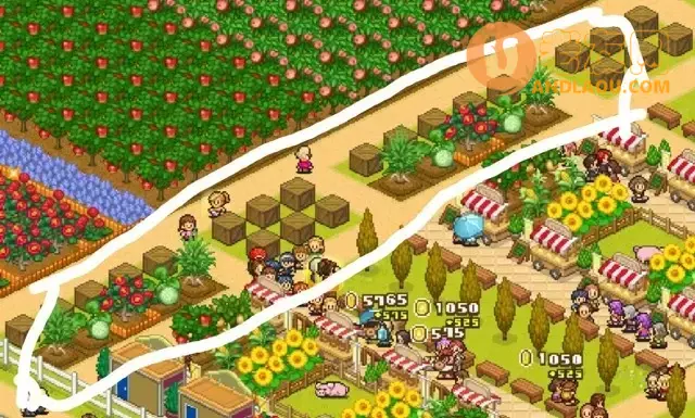 《像素牧场物语》竞赛选择布局攻略