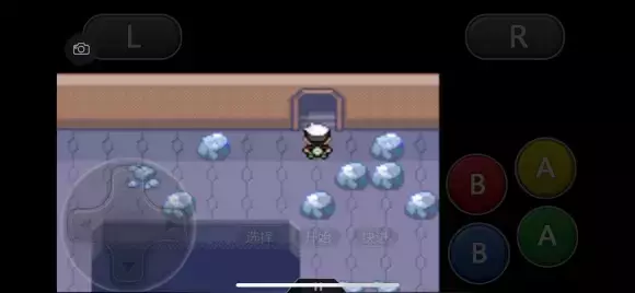 《口袋妖怪究极绿宝石》5速过天空之柱攻略