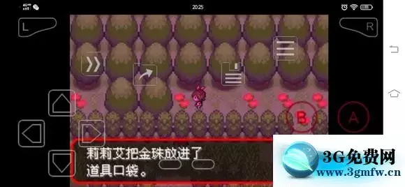 《口袋妖怪究极绿宝石5》丰缘地区隐藏道具分布攻略