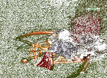 魔兽争霸3《世界rpg》0.76k大神赛收割者攻略