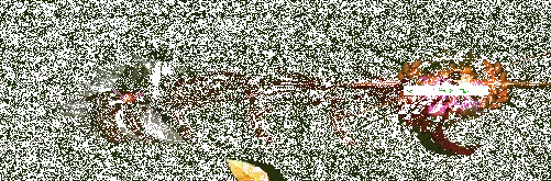 魔兽争霸3《世界rpg》0.76k大神赛收割者攻略