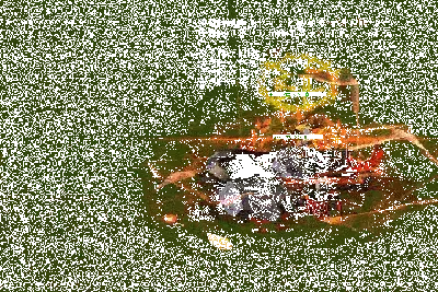 魔兽争霸3《世界rpg》0.76k大神赛收割者攻略