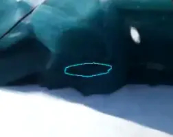 恐惧饥荒《DreadHunger》攻略