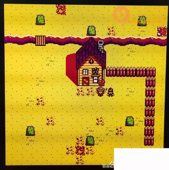 星露谷物语《StardewValley》草原之王攻略