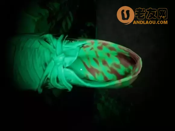 《孙美琪疑案》第八季地狱攻略