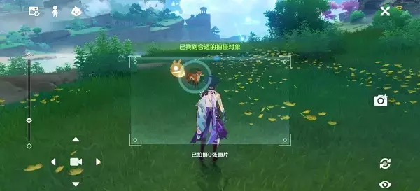 《原神》稻妻特色动物拍照任务攻略