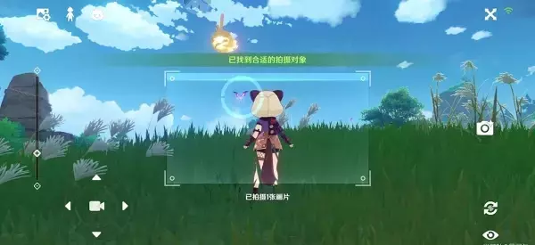 《原神》稻妻特色动物拍照任务攻略