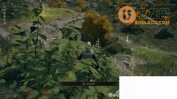 《艾尔登法环》全收集全支线白金流程攻略