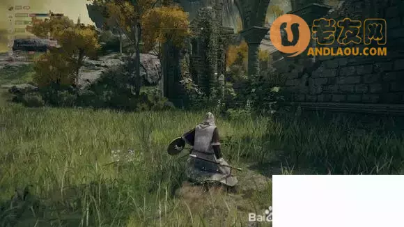 《艾尔登法环》全收集全支线白金流程攻略