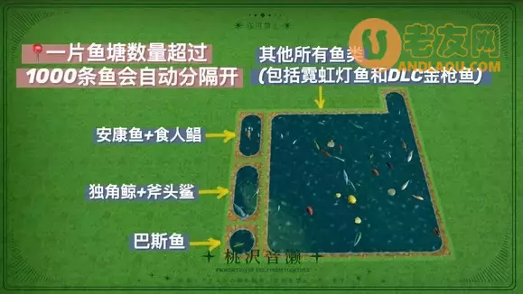 一起玩农场《FarmTogether》高效使用农工养殖鱼类攻略