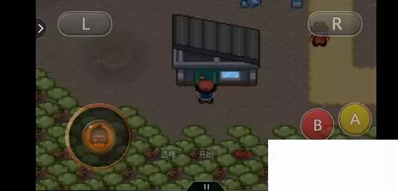 《口袋妖怪究极绿宝石5小智版》精灵分布及神兽图文攻略