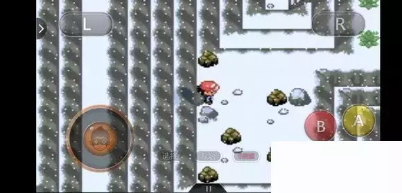 《口袋妖怪究极绿宝石5小智版》精灵分布及神兽图文攻略