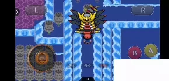 《口袋妖怪究极绿宝石5小智版》精灵分布及神兽图文攻略