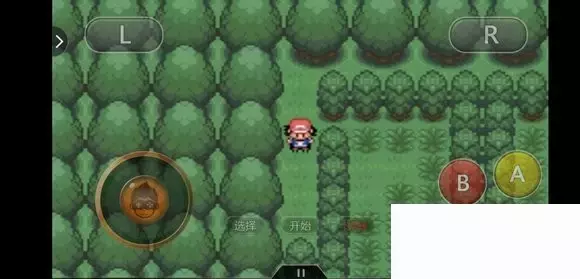 《口袋妖怪究极绿宝石5小智版》精灵分布及神兽图文攻略