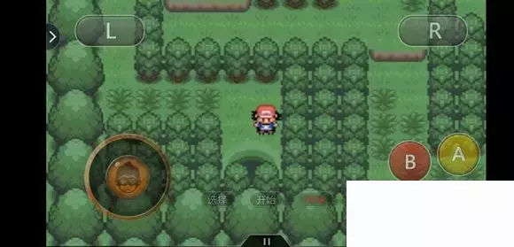 《口袋妖怪究极绿宝石5小智版》精灵分布及神兽图文攻略