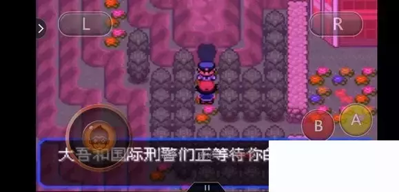 《口袋妖怪究极绿宝石5小智版》精灵分布及神兽图文攻略