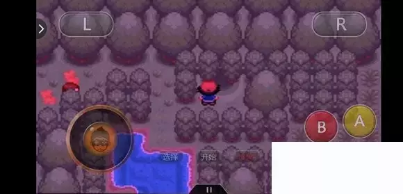 《口袋妖怪究极绿宝石5小智版》精灵分布及神兽图文攻略