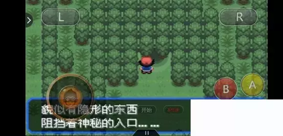 《口袋妖怪究极绿宝石5小智版》精灵分布及神兽图文攻略