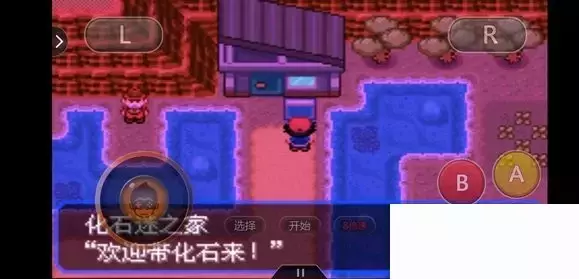 《口袋妖怪究极绿宝石5小智版》精灵分布及神兽图文攻略