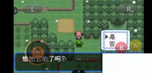 《口袋妖怪究极绿宝石5小智版》精灵分布及神兽图文攻略