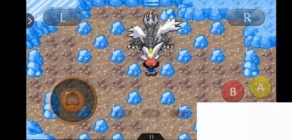 《口袋妖怪究极绿宝石5小智版》精灵分布及神兽图文攻略