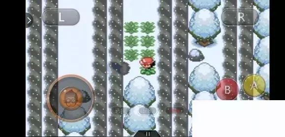 《口袋妖怪究极绿宝石5小智版》精灵分布及神兽图文攻略