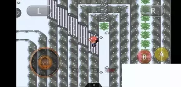 《口袋妖怪究极绿宝石5小智版》精灵分布及神兽图文攻略