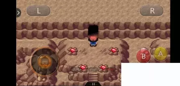 《口袋妖怪究极绿宝石5小智版》精灵分布及神兽图文攻略