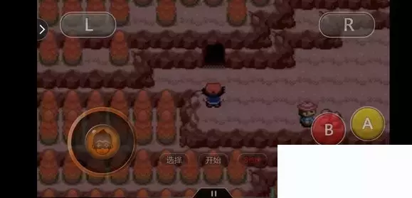 《口袋妖怪究极绿宝石5小智版》精灵分布及神兽图文攻略