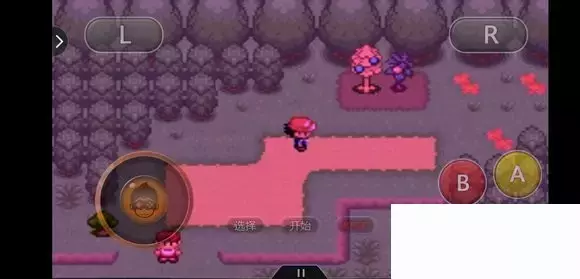 《口袋妖怪究极绿宝石5小智版》精灵分布及神兽图文攻略