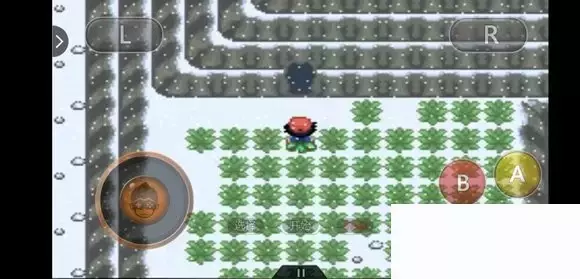 《口袋妖怪究极绿宝石5小智版》精灵分布及神兽图文攻略