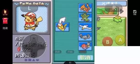 《口袋妖怪究极绿宝石5》第一个岩石系道馆和第二个格斗系道馆攻略