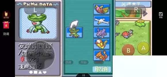 《口袋妖怪究极绿宝石5》第一个岩石系道馆和第二个格斗系道馆攻略