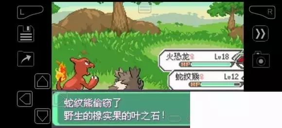 《口袋妖怪究极绿宝石》5.4疯狂模式图文攻略