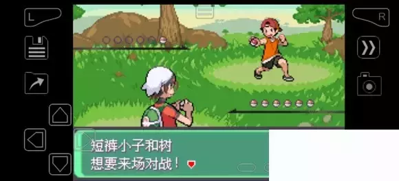 《口袋妖怪究极绿宝石》5.4疯狂模式图文攻略