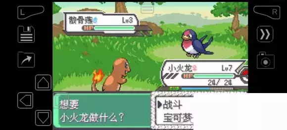 《口袋妖怪究极绿宝石》5.4疯狂模式图文攻略