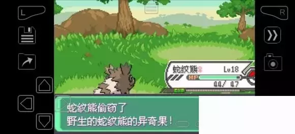 《口袋妖怪究极绿宝石》5.4疯狂模式图文攻略