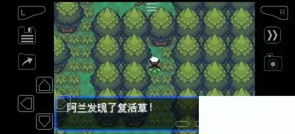 《口袋妖怪究极绿宝石》5.4疯狂模式图文攻略