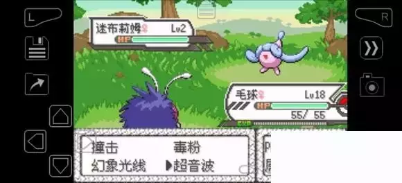 《口袋妖怪究极绿宝石》5.4疯狂模式图文攻略