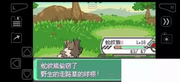 《口袋妖怪究极绿宝石》5.4疯狂模式图文攻略