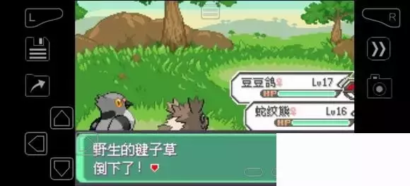 《口袋妖怪究极绿宝石》5.4疯狂模式图文攻略