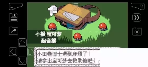 《口袋妖怪究极绿宝石》5.4疯狂模式图文攻略